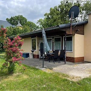 Ferienhaus In Dahmen Mit Grossem Garten Exterior photo