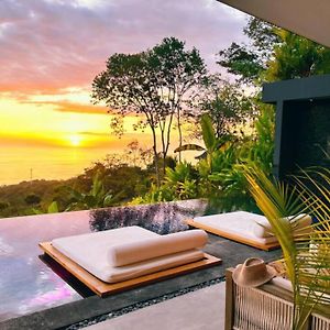 Divinity Costa Rica All Inclusive Luxury Villa 多米尼克 Exterior photo