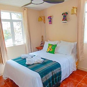 Private Apartment In Central Oaxaca, Wifi, Parking Santa Lucia Del Camino Exterior photo