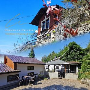 Riesling - Wohnen Im Weinberg In Der Toskana Des Nordens 伏里堡 Exterior photo