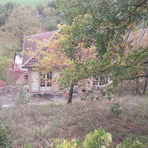 Ma Maison Isolee Au Bord De La Riviere, Naturisme Possible Sentein Exterior photo