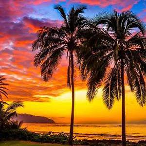 Charming Beach Apartment Your Hawaiian Getaway 哈莱伊瓦 Exterior photo