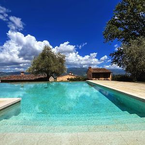 La Colonica - Intera Villa Privata, Relax, Natura E Piscina A Sfioro 雷吉纳罗苏阿诺 Exterior photo