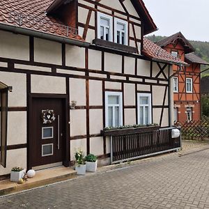 Saalfeld SaaleFerienhaus Reschwitzer Auszeit别墅 Exterior photo