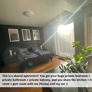 Funkadelic Retreat Transylvania, Private Room&Bath In Shared Apartment With Host&Cat 克卢日-纳波卡 Exterior photo