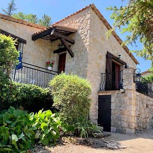 Maison En Pierre De Taille Avec Jardin Et Vue Montagnes Cipières Exterior photo