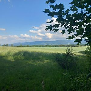 Szewska Pasja Agroturystyka Wiejska Leśna Exterior photo