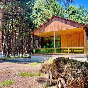 Milenium Magic Villa On Sevan Beach Exterior photo