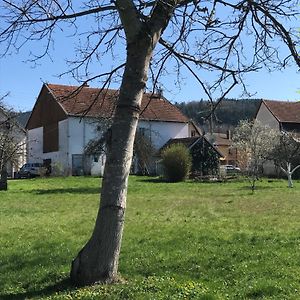 Domaine La Bonne Dame - Merle, Au Coeur Des Vosges 普兰凡 Exterior photo