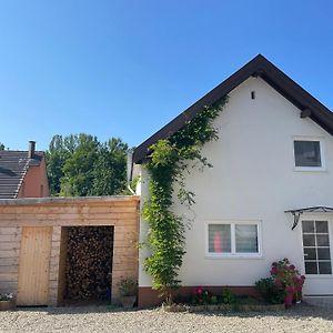 Petite Maison De Charme Dinsheim Exterior photo