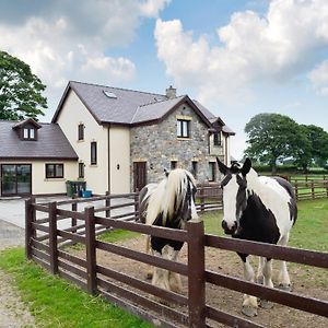 CaerwysGroes Faen Bach别墅 Exterior photo