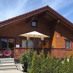 SulzauBeautiful Log Cabin Near Wildkogel Arena别墅 Exterior photo