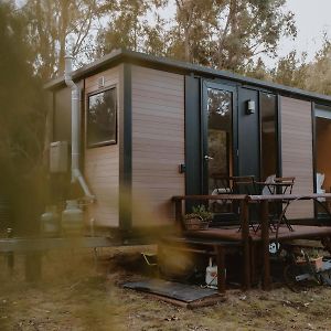 DunalleyQuirindi Cabin By Tiny Away别墅 Exterior photo