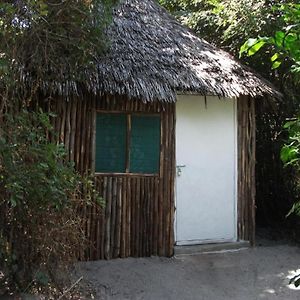 Room In Bb - Mida Creek Eco Camp - Relax In Cosy Cottage Exterior photo