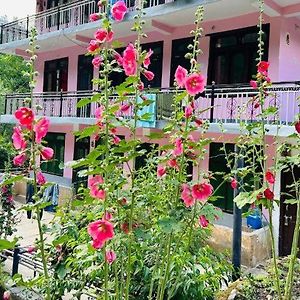 River View Homestay Jibhi Exterior photo