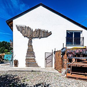 CortandoneLusi E In Collina住宿加早餐旅馆 Exterior photo