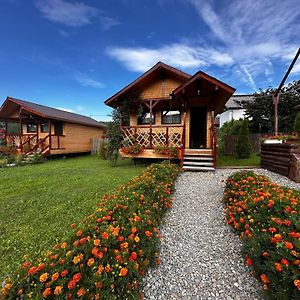 Curtea de ArgeşBaltina Parc Transfagarasan别墅 Exterior photo