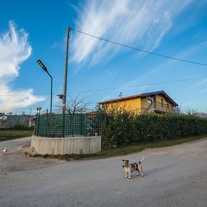 伊塞尔尼亚Roberta House住宿加早餐旅馆 Exterior photo