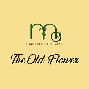 格奥尔盖尼The Old Flower公寓 Exterior photo