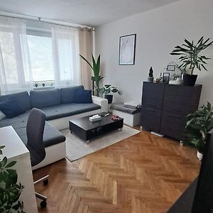 Utulny Apartman Kosice V Kludnej Lokalite公寓 Exterior photo