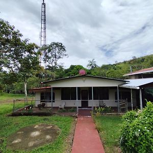 SabalitoHospedaje Refugio En El Bosque别墅 Exterior photo