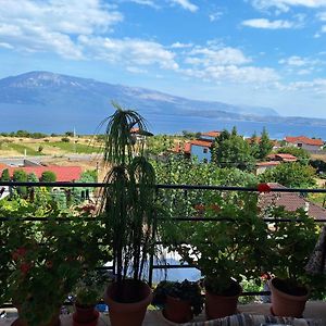 Taku Villa Wonderful View Of Lake Ohrid Udenisht Exterior photo