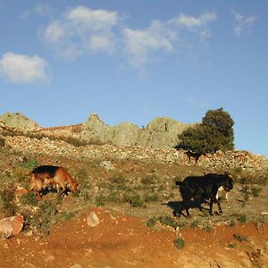 马德雷特拉乡村民宿 La Puebla de la Sierra Exterior photo