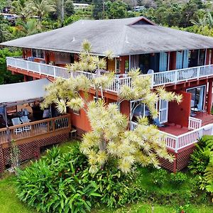 库克船长Coffee Garden住宿加早餐旅馆 Exterior photo