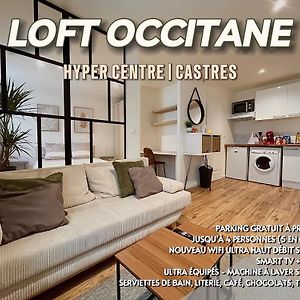 卡斯特尔Loft Occitane Hyper Centre Castres公寓 Exterior photo