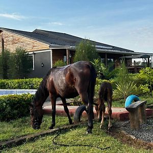 Greenleaf Farm Cottages Rongai Exterior photo