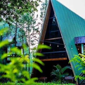 Hotel De Cristal & Hacienda De Los Morales 圣米格尔 Exterior photo