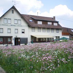 Gemeinde AichhaldenGasthaus Pflug住宿加早餐旅馆 Exterior photo