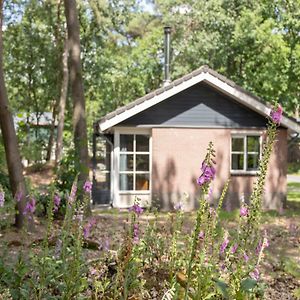 VlierdenNice Bungalow In A Car-Free Park别墅 Exterior photo