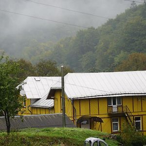 Vizhenka Дім З Видом На Гори.酒店 Exterior photo