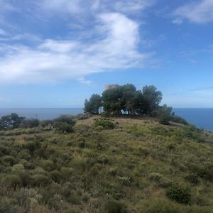 MelicenaApartamento Junto Al Mar En Costa Tropical Y Alpujarras Granadinas公寓 Exterior photo