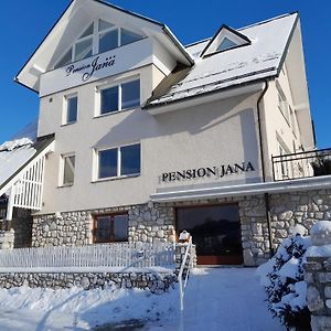 伊莱姆尼采 Pension Jana - Wellness酒店 Exterior photo