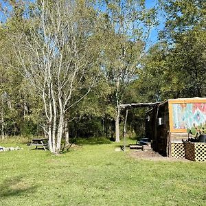 亨茨维尔Cabin 1 Remote Cabin Next To Sam Houston National Forest别墅 Exterior photo