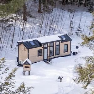 ChesterThistle House At Camp Greenwood Vermont With Sauna别墅 Exterior photo