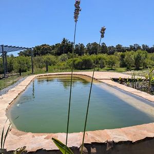 Caliu Earthship Ecolodge 科洛尼亚-德尔萨克拉门托 Exterior photo