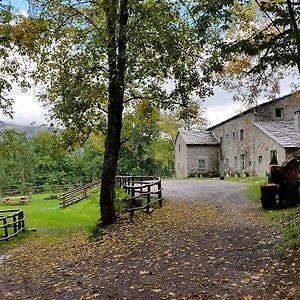 阿贝托内Agriturismo Al Castagno公寓 Exterior photo