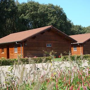 BoekelChalet De Voetpomp别墅 Exterior photo