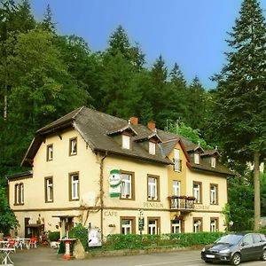 弗赖堡 Pension Waldheim酒店 Exterior photo