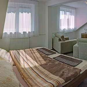 Uherské Hradiště Penzion Na Dlouhe酒店 Room photo