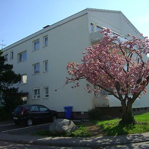 Ferienwohnung Schliestadt-Gorge 林道 Exterior photo