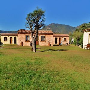 奧爾比亞普布罗斯住宿加早餐旅馆住宿加早餐旅馆 Exterior photo