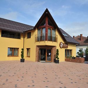 Turčianske Teplice Penzion Anesis - Studia酒店 Exterior photo