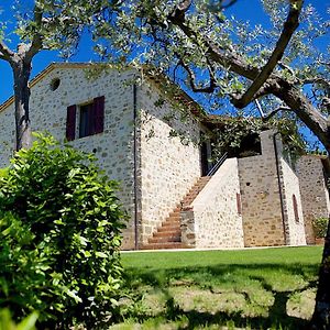 Agriturismo Le Colombe Assisi别墅 Exterior photo