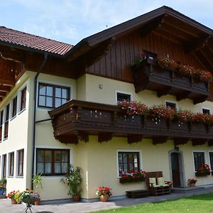 Appart Weisse Urlauben Am Wolfgangsee 圣吉尔根 Exterior photo