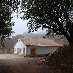 Casa Rural Las Encinas 马尔切纳 Exterior photo
