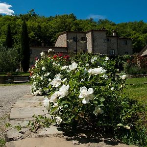 Agriturismo Azienda Agricola Il Pozzo 卡波罗纳 Exterior photo